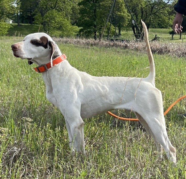 CALADEN’S STERLING RIDGE